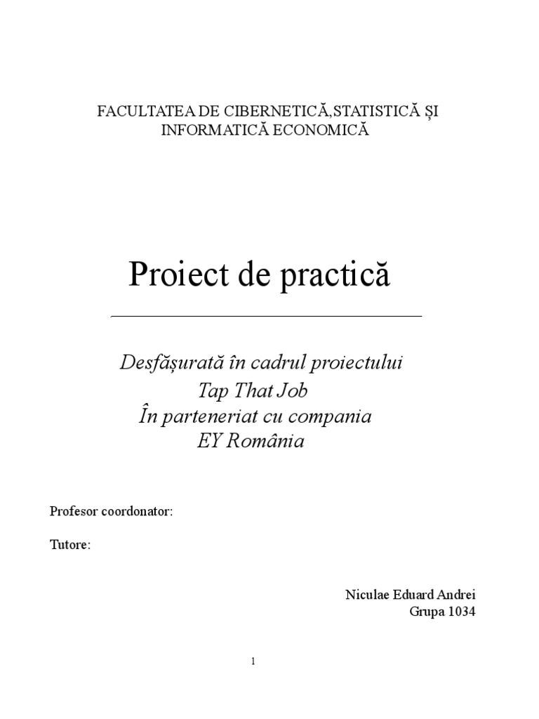Proiect Practica | PDF