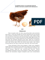 Laporan PKL Manajemen Pakan Ayam Petelur