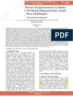 Prevalence of Bovine Trypanosomosis in Shebe Sombo District of Oromia Regional State South West of Ethiopia