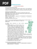 11anogeo.pdf
