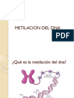 Metilacion Del Dna Epigenetica