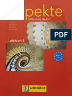 Lehrbuch.pdf