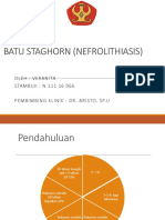 Refka Batu Staghorn