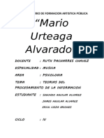 Teorias Del Procesamiento de La Informacion