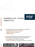 Desarrollo Del Sistema Esquelético