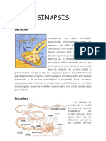 Seminario de Sinapsis