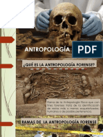 Antropología Forense: Identificar restos humanos