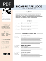 48 Curriculum Vitae Calido