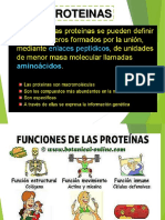 Proteinas Final