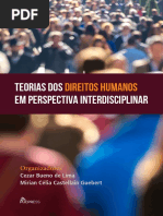 Teorias Dos Direitos Humanos Em Perspectiva Interdisciplinar - Cezar Bueno