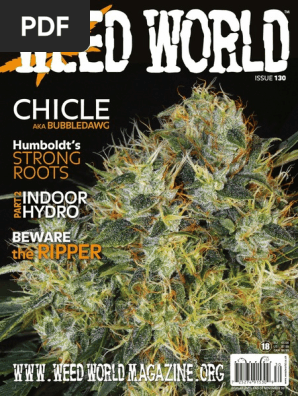 Weed World Issue 130 2017 Cannabis Drug Cannabis