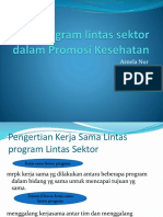 Materi 6 Program Lintas Sektor