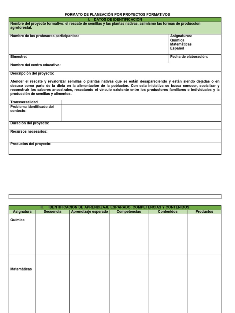 Formato de Planeación por Proyectos | PDF | Arte