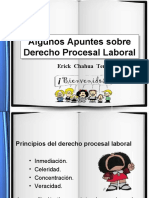 Algunos Apuntes Sobre Derecho Procesal Laboral Peruano UDH Universidad de Huanuco