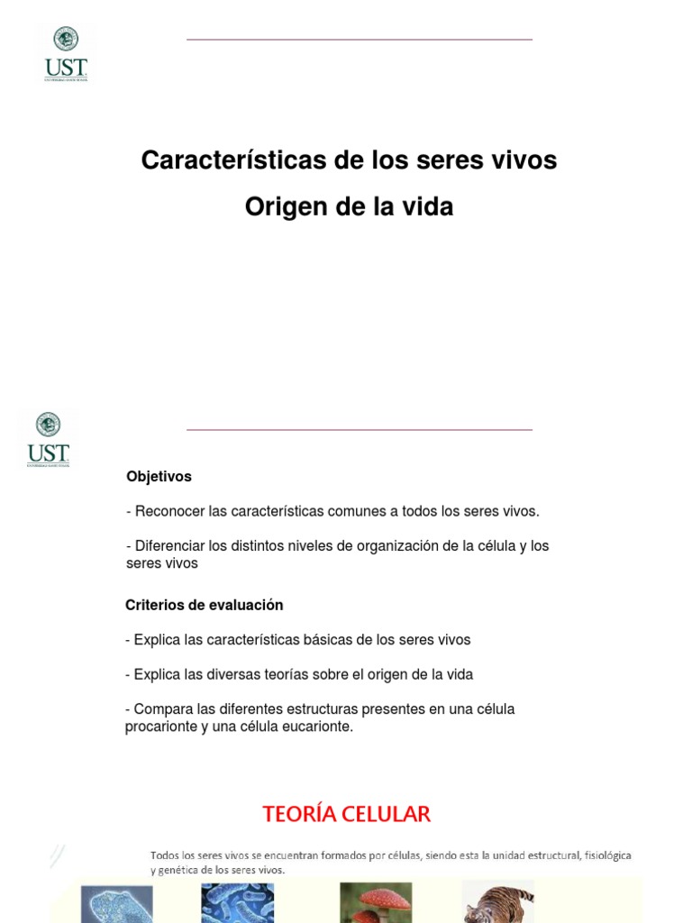 Características y origen de los seres vivos | PDF | Eucariotas | Organismos