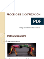 Proceso de Cicatrización