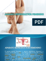 Diapositiva Sobre El Aparato Femenino