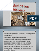 Edad de Los Fosiles