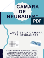 La Camara de Neubauer