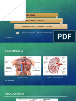 Kidney Tumor Types and Treatments