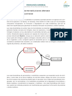 Tema 5C-Bloque I-Vias Formacion Aminoacidos y Nucleotidos.pdf