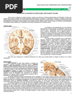 11 - Estrutura e Funções Do Tálamo, Subtálamo e Epitálamo