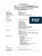 Modelo de Resumen Ejecutico Pronied