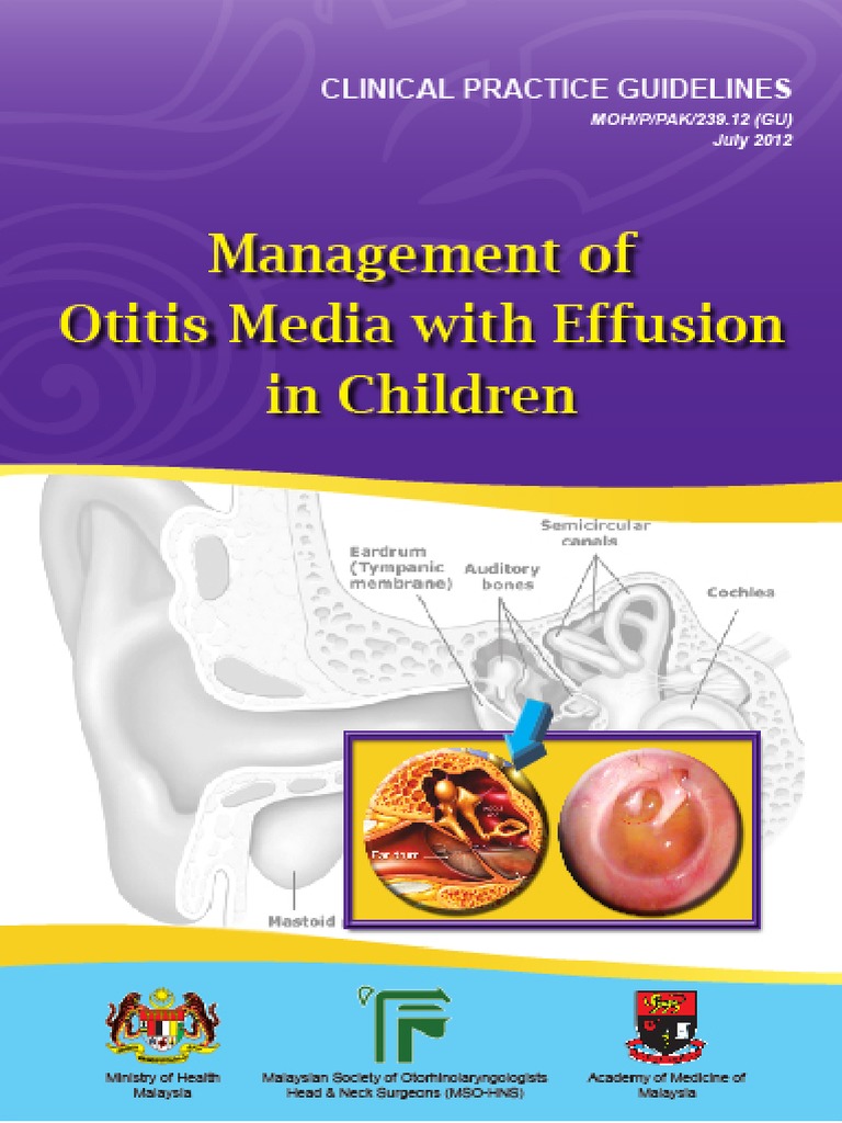 CPG Management of Otitis Media With Effusion in Children Evidence