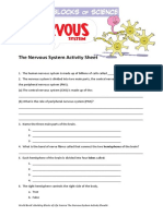 Nervous System Activity Sheet