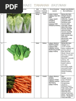 Identifikasi Tanaman Sayuran