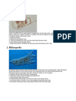 Kotretan PPT Protozoa Dan Alga