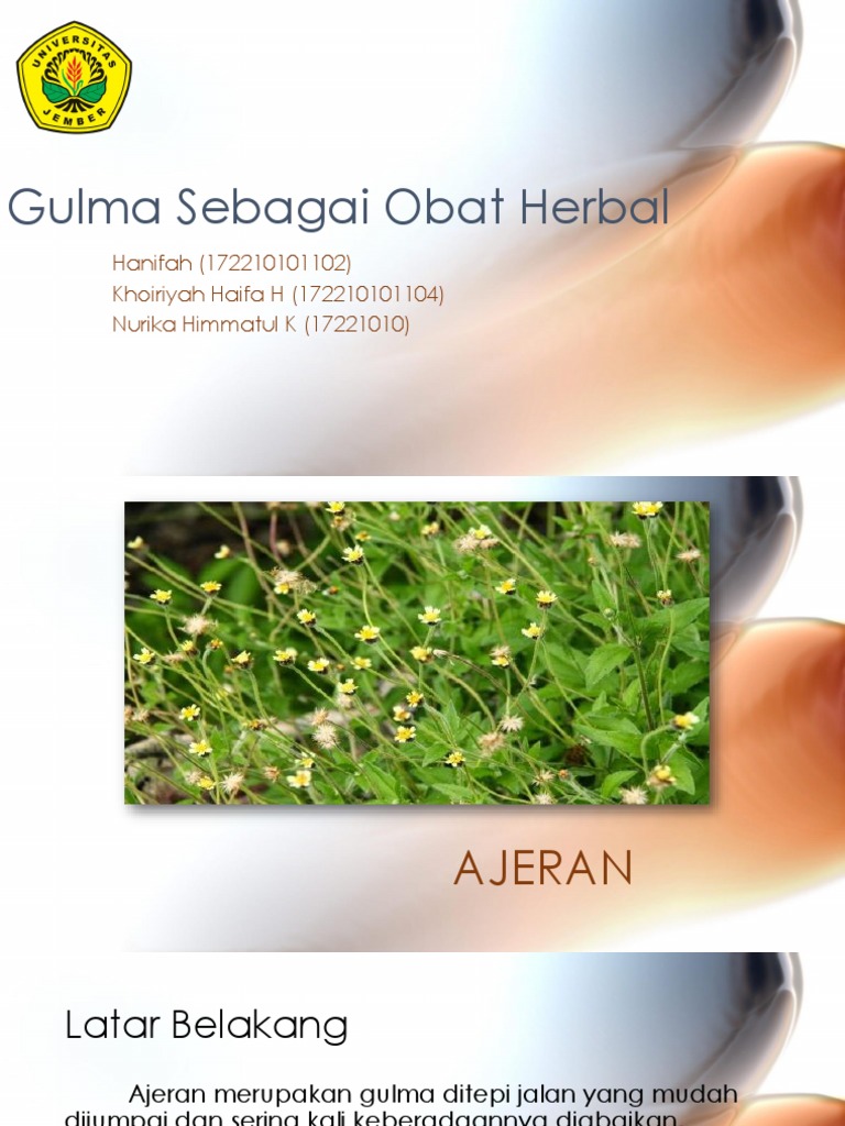 Ajeran | PDF