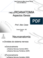 Aula 1 - Neuroanatomia
