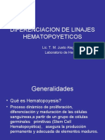 Diplomado 2008-Diferenciacion de Linajes Hematopoyeticos