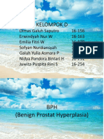 Kelompok D