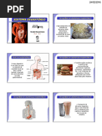 Sistema Digestório
