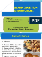 Biokimia Karbohidrat
