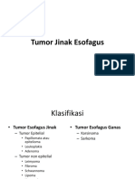 Tumor Jinak Esofagus