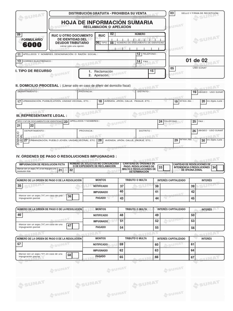 Formulario 6000 PDF | PDF