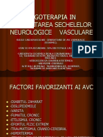 c7.Ergoterapia in Reabilitarea Sechelelor Neurologice Vasculare