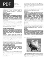 Biología Instituto El Rosario Interacciones de Los Sv