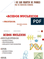 Ac.nucleicos 16 i