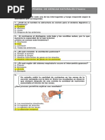 Prueba Ciencias 5 Basico