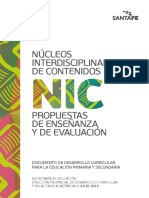 PDF Libro Nic III
