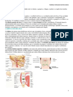 Anatomia da região oral