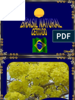 Brasil Natural Cerrado