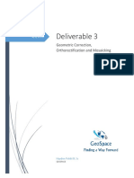 Deliverable 3: Geometric Correction, Orthorectification and Mosaicking