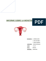 INFORME SOBRE MESTRUACION.docx