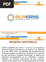 Surgas s.a e.s.p