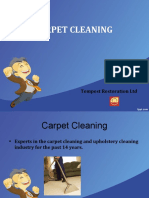 Carpet Cleaning 